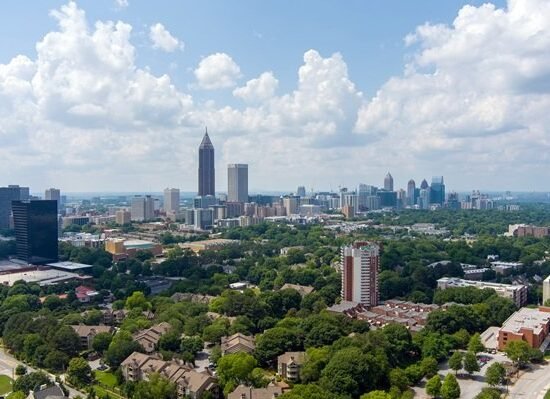 are there palm trees in atlanta