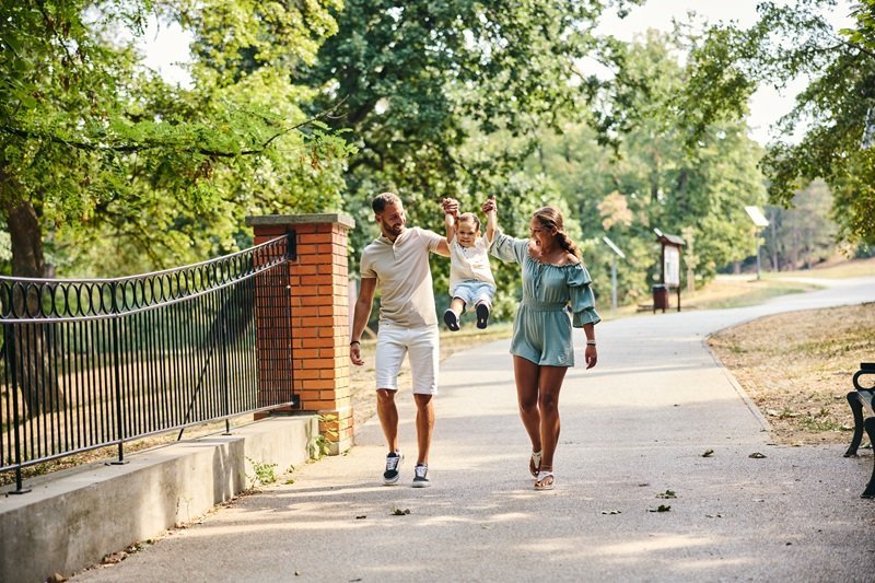 are there palm trees in atlanta