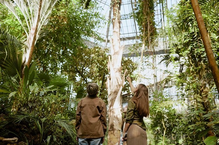 are there palm trees in atlanta